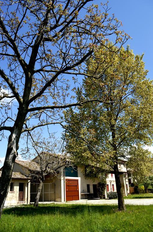 Agriturismo Ca Roer San Zenone المظهر الخارجي الصورة