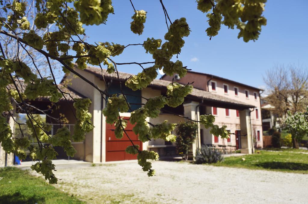 Agriturismo Ca Roer San Zenone المظهر الخارجي الصورة